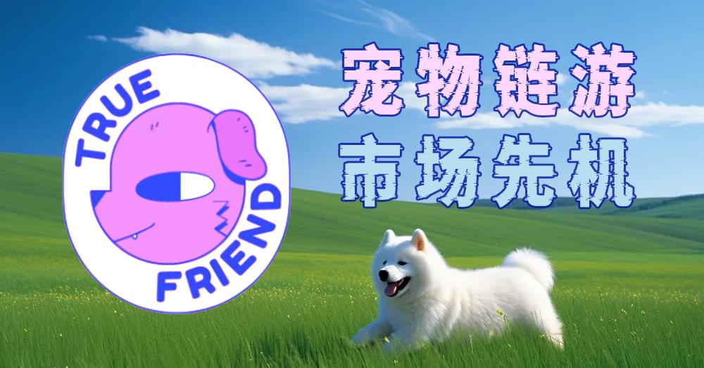PG官方科技软件公司
